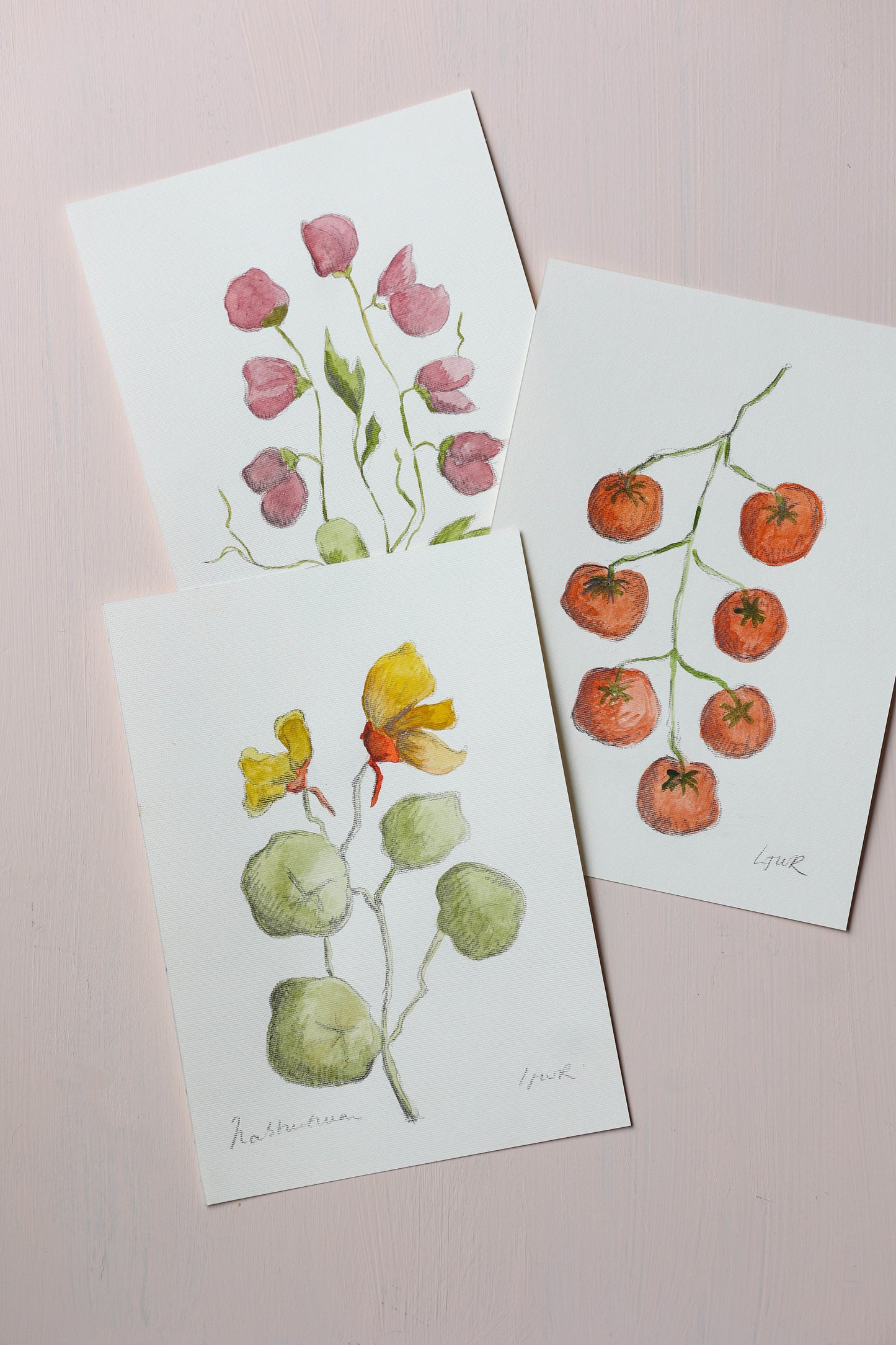 Nasturtium - Watercolour - A5