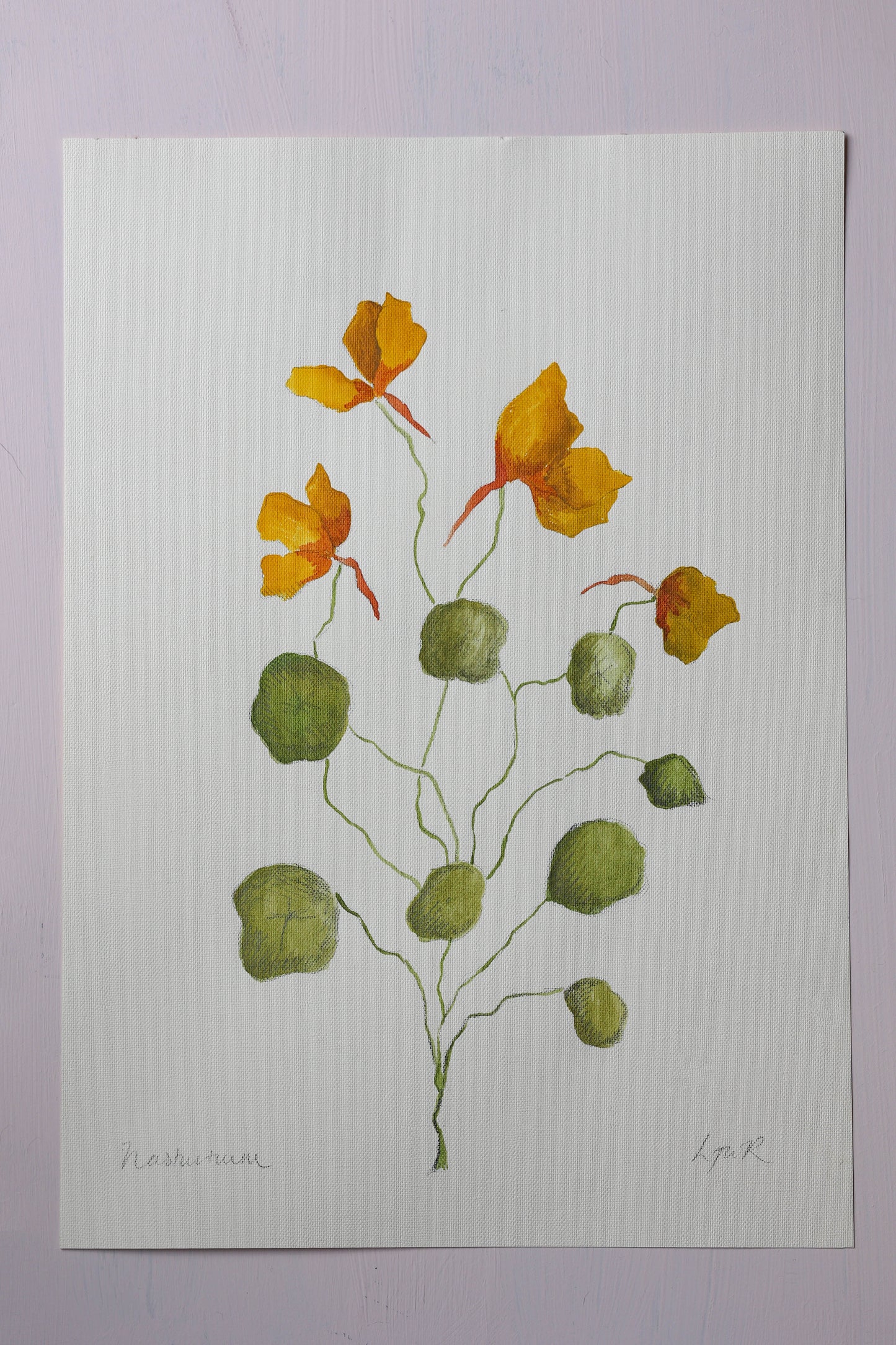 Nasturtiums - Watercolour - A3
