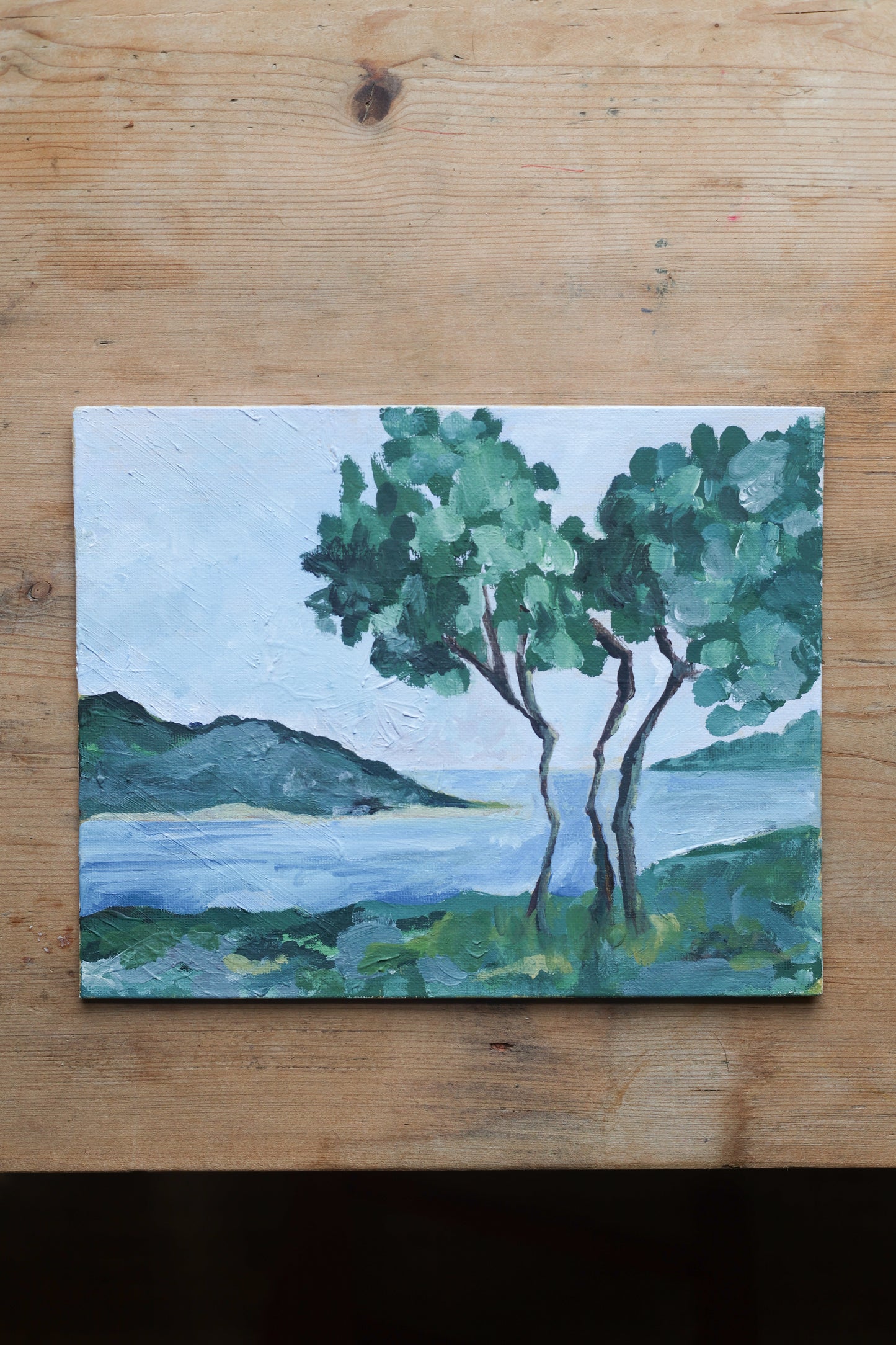 A Riviera View