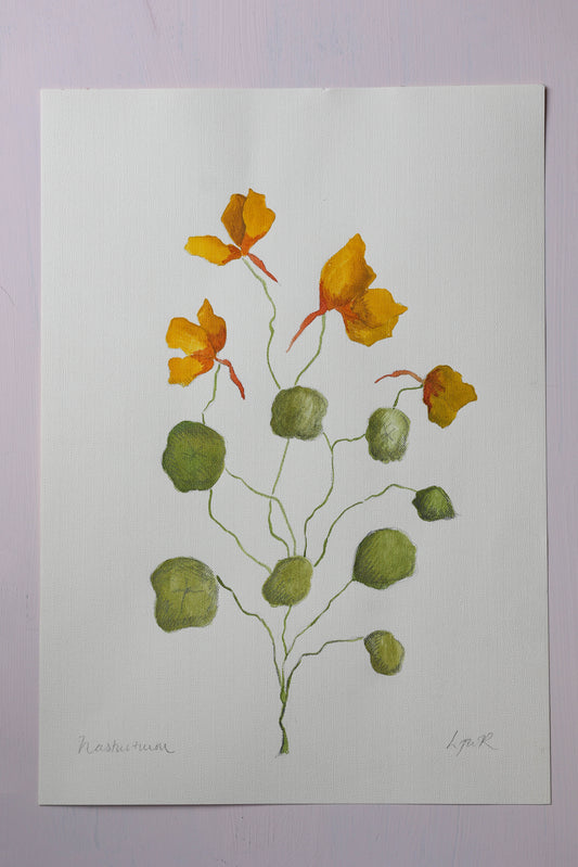 Nasturtiums - Watercolour - A3