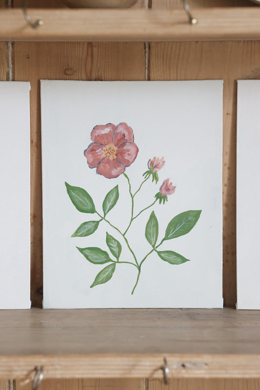 Dog Rose (Unframed)
